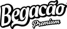 logo begacao2024